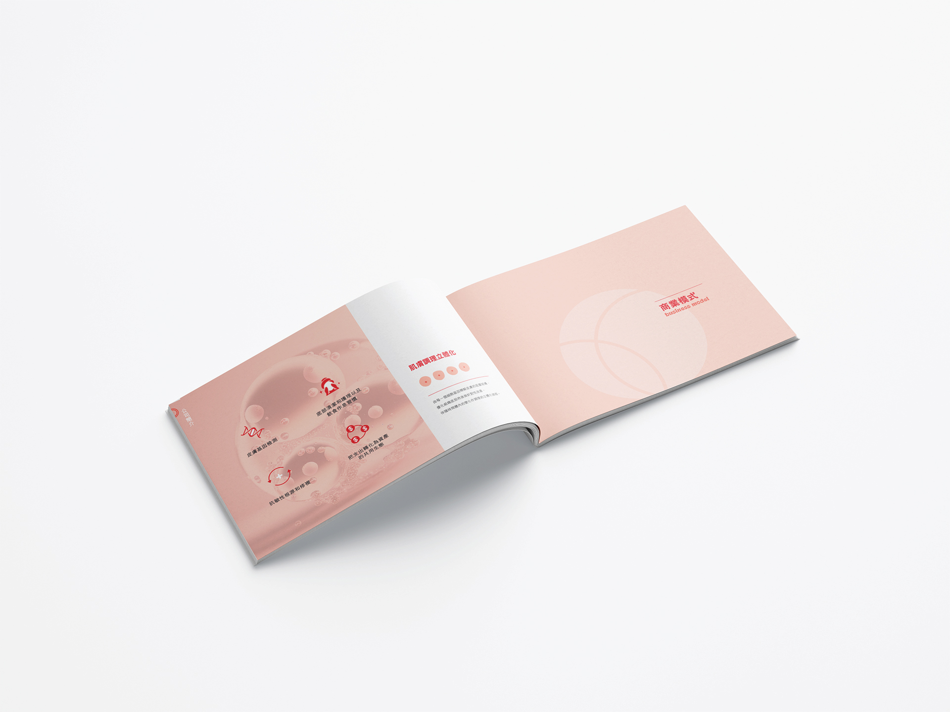 GHB Skin - Skin Beauty Branding 6 ghb skin ideas 06