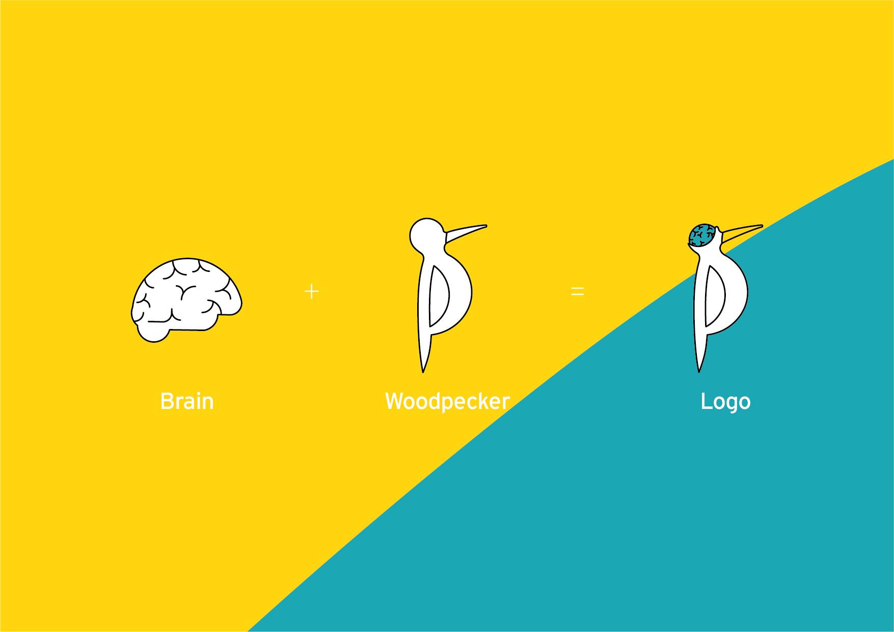  abc Education branding for brand logo concept as Woodpecker